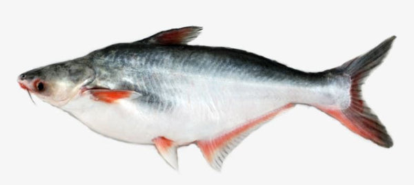 Pangas 2 lbs Each. Base on 6.99/lb