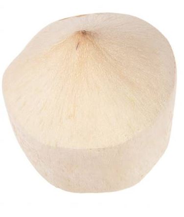 Fresh Young Coconut - Each