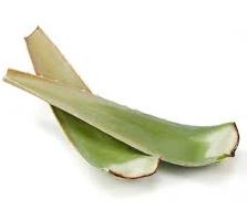 Aloe Vera - 1 each.