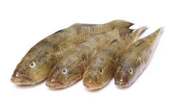 Baila (Sand Goby) Each Block 500g