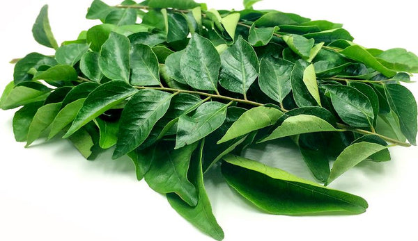 Curry Leaf 0.10 lb Bag