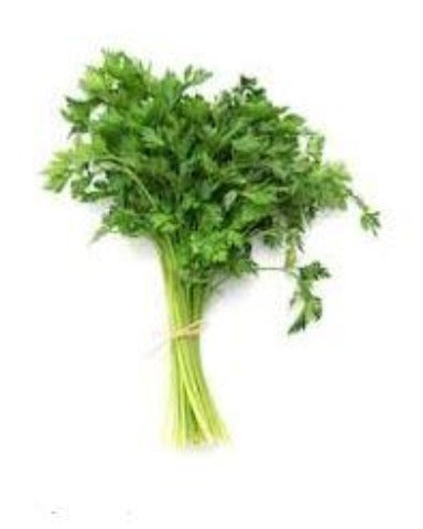 Organic Cilantro 1 Bunch